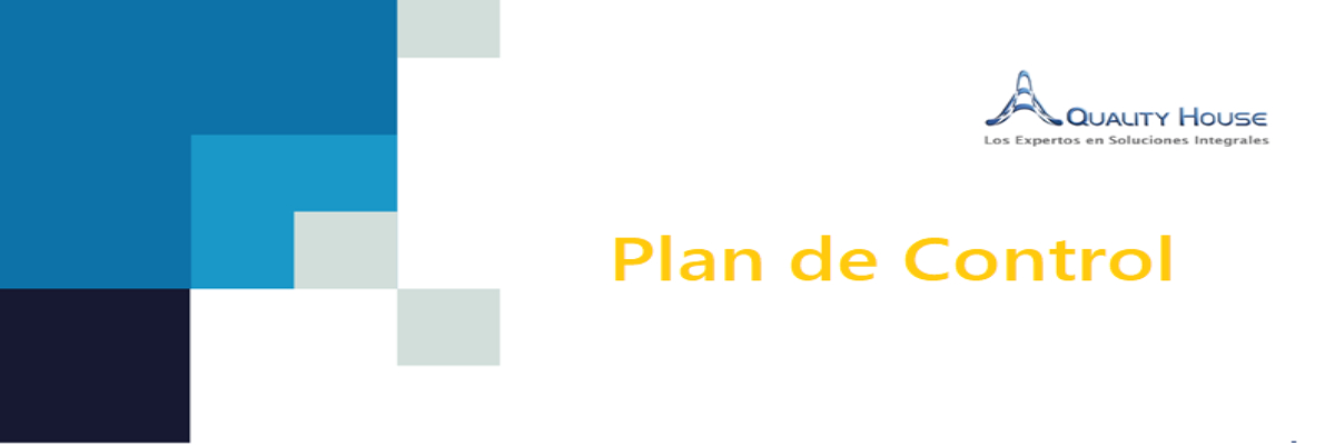 Course Image PLAN DE CONTROL - 1ra Edición